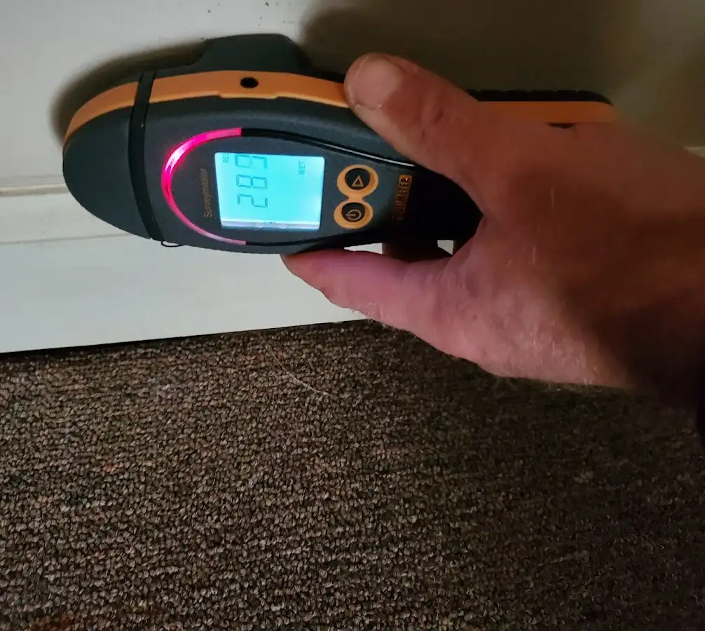 Moisture detection at baseboard during Sewage Cleanup & Sanitation in Lakewood